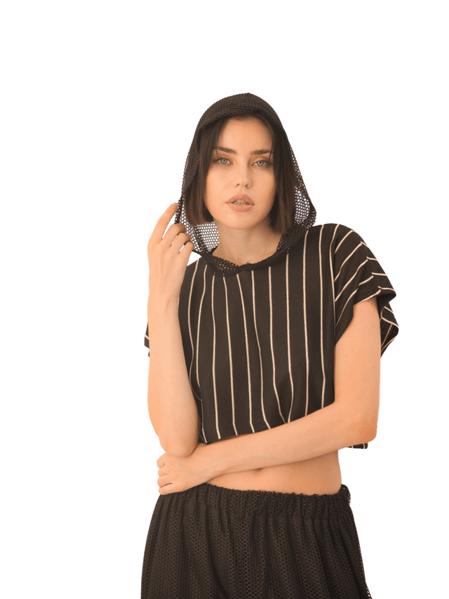 product Stripe Crop Top With Net Hoodie Image